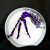 Viola - Imagen 5
