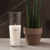 VIOLET, TULIPA Y ADELE - Imagen 8